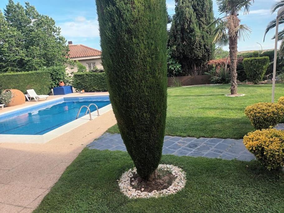 Madrid City Modern Apartment In Villa, Free Wifi أرويومولينوس المظهر الخارجي الصورة