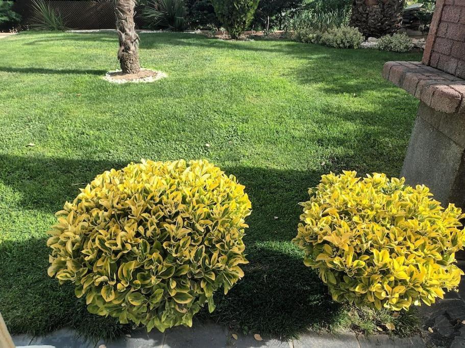Madrid City Modern Apartment In Villa, Free Wifi أرويومولينوس المظهر الخارجي الصورة